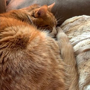 Meet your Posher, Beth